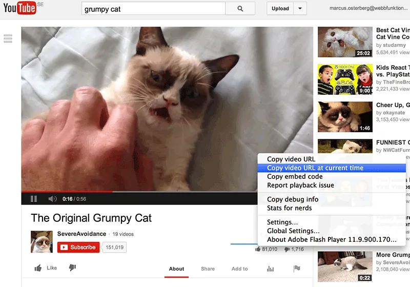 On Youtube, you can link to a specific position in a video.