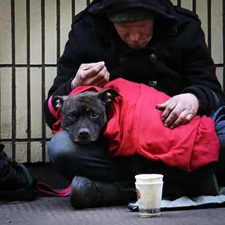 Bäst och sämst inom insamlings&shy;organisationer i mars, 2026