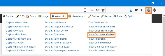 Figur 5 I Web Developer klickar du på fliken 