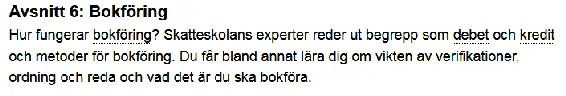 Figur 33 Beskrivning av innehållet i ett av Skatteskolans avsnitt.